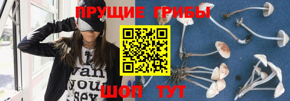 Галлюциногенные грибы MAGIC MUSHROOMS Донской